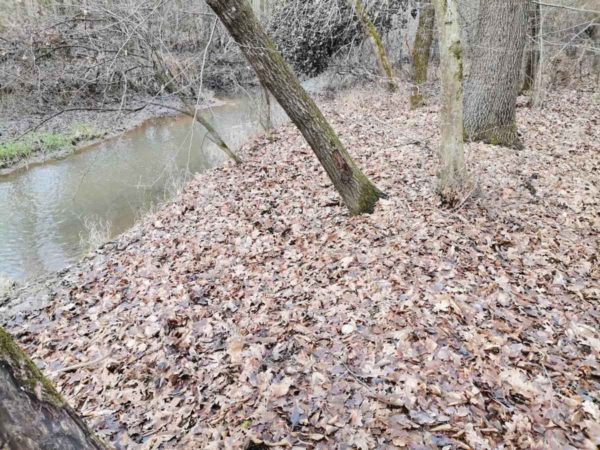 Okerka Vendeghaz Lägenhet Csesztreg Exteriör bild